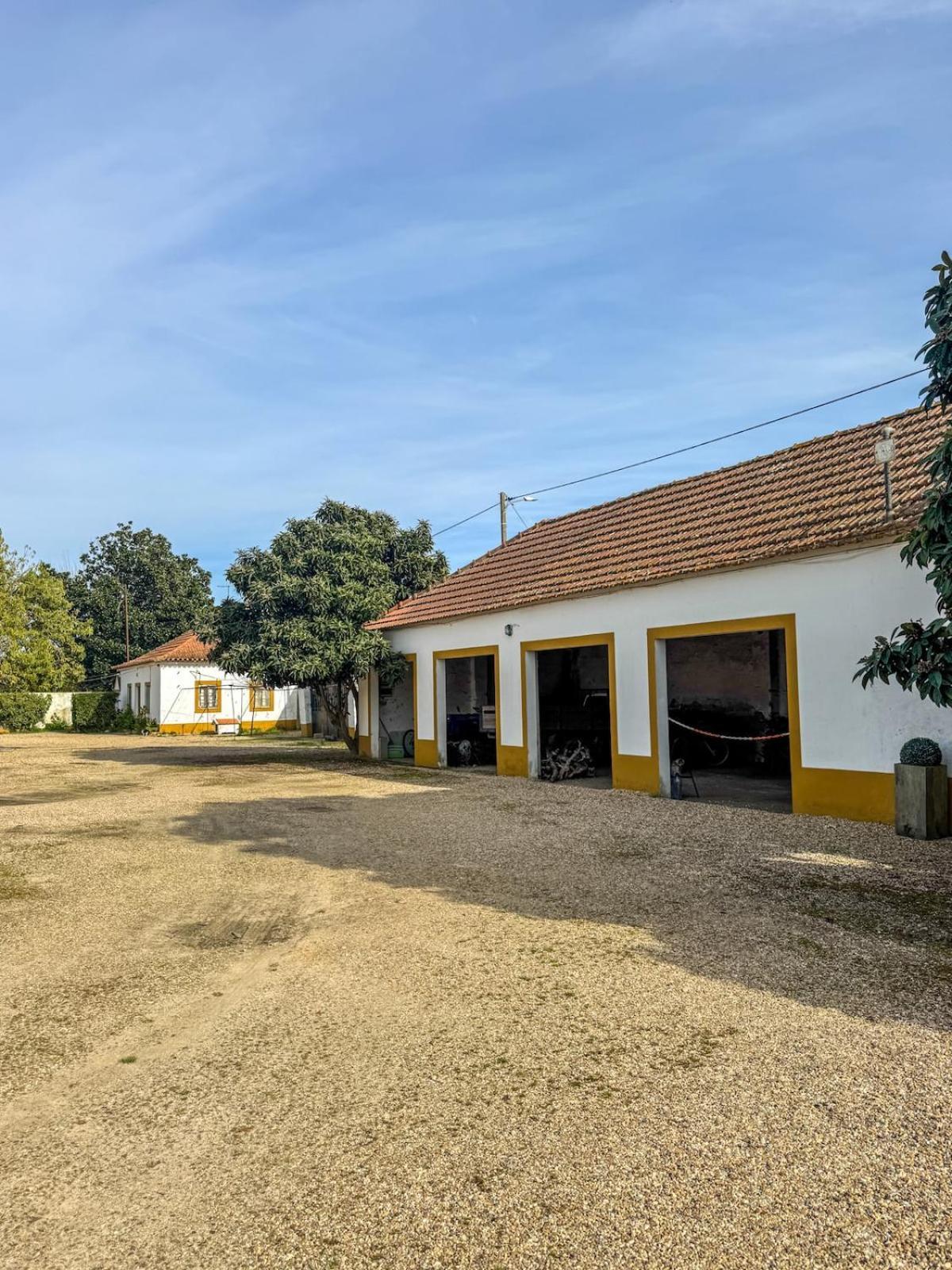 Villa Quinta Do Casalinho - Benfica Do Ribatejo Exterior foto