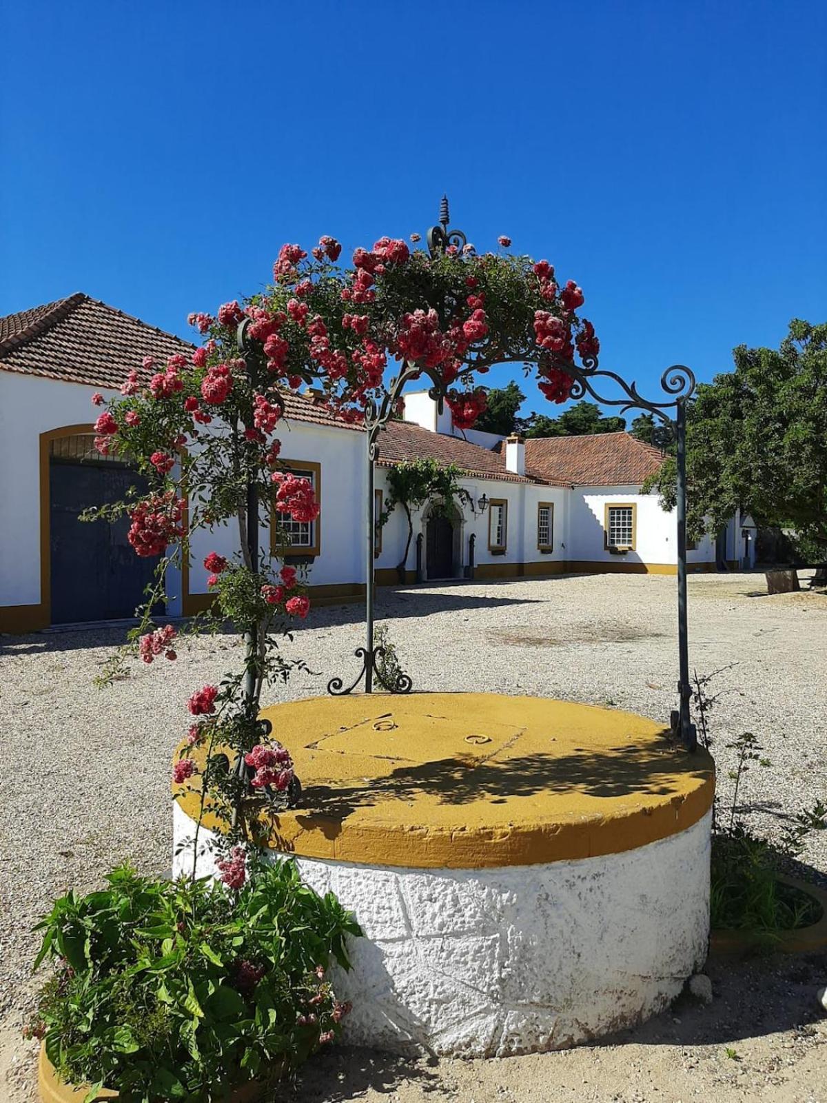 Villa Quinta Do Casalinho - Benfica Do Ribatejo Exterior foto